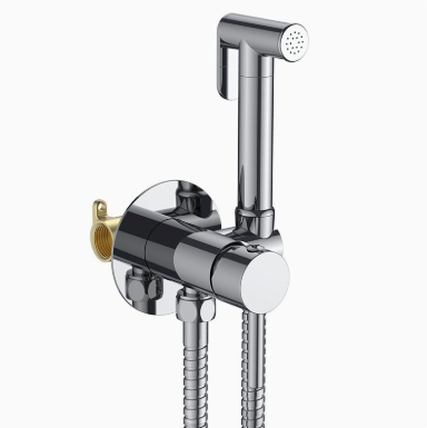 Bình xịt chậu vệ sinh